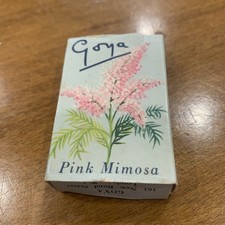 GOYA PINK MIMOSA MINIATURE