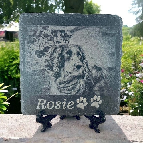 Dog loss photo grave - dog, stone