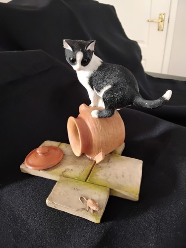 Sherratt simpson kitten - sherratt,