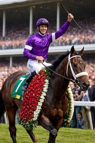 Ace bets horse racing system - ace,