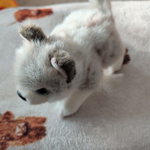 Keel toys signature cuddle - keel,