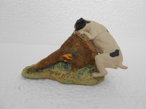 Border fine arts dog - border, looking