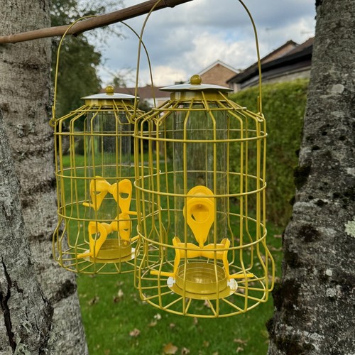 Hanging squirrel proof seed - squirrel,