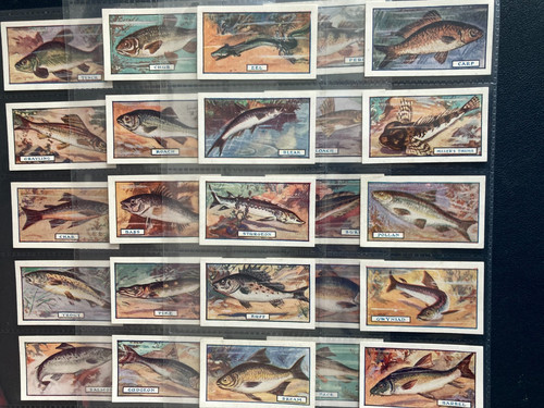 Cigarette cards fish full - fish,