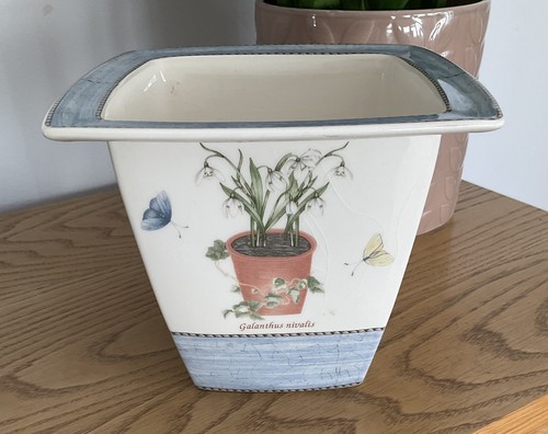 Wedgwood sarah garden plant - wedgwood,