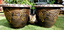 Pair xxl large 46cm - 2,