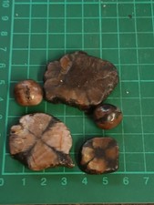 Chiastolite/Cross Stone  Polished