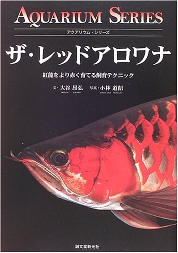 The red arowana - arowana, japanese