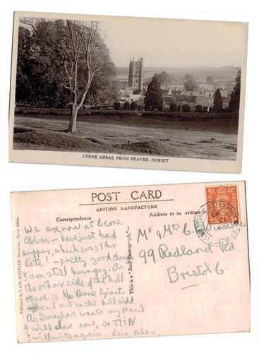 Vintage postcard cerne - vintage,