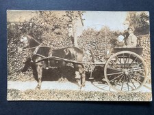 Family on Pony & Trap Real Photo Vintage Social History Postcard P46