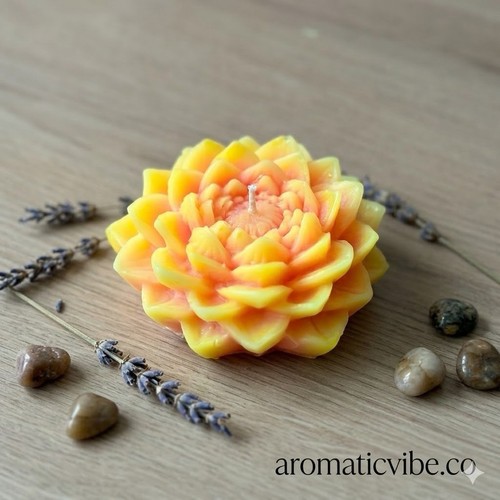 Double shaded lotus - double,