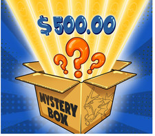 Pokemon $500 Mystery Box -
