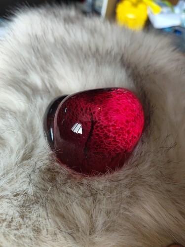 Wedgwood england ruby - wedgwood,