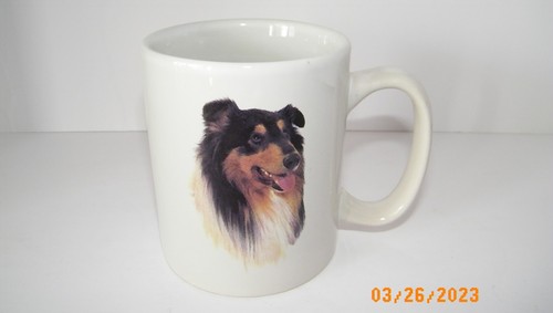 Shetland sheepdog sheltie - shetland,