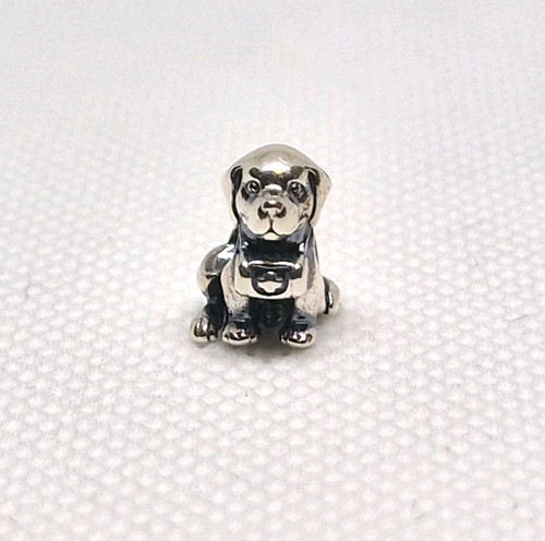 Genuine pandora labrador dog - pandora,