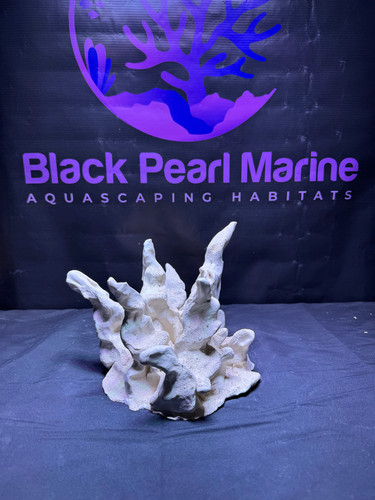Bpm pico ceramic - bpm, rock