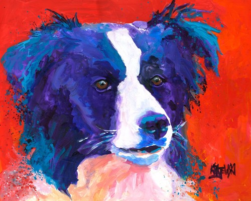 Border collie print - border,