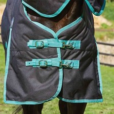Mediumweight Turnout Rug