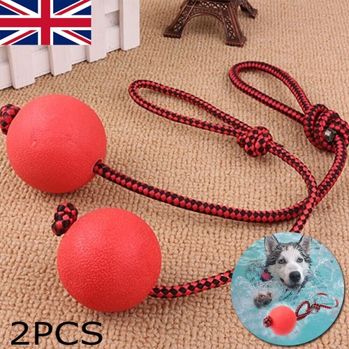 Indestructible dog ball on - dog,