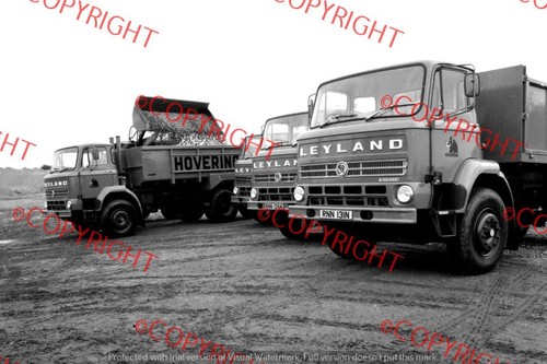 Truck lorry photo - truck/lorry,