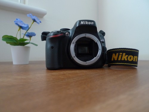 Nikon d5100 megapixel - nikon,
