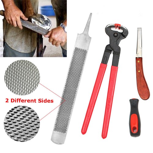 Farriers tools horse - tools, hoof