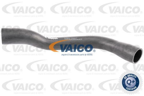 Fuel tank breather - tank, hose
