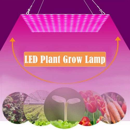 2000w led grow light - 2000w,