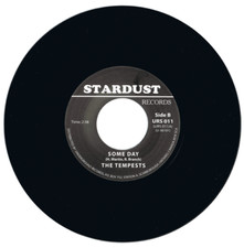 The Tempests Someday / I Cried