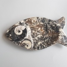 Fish Fossil Trinket Dish