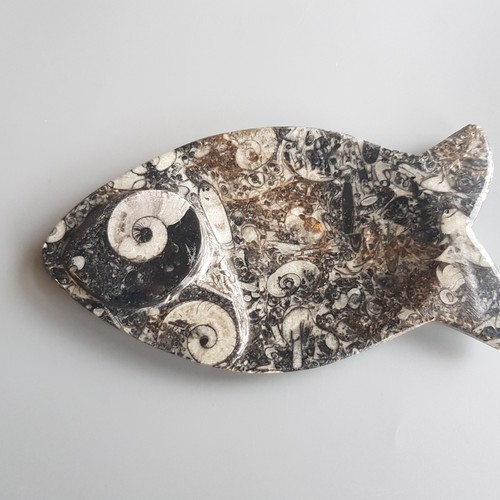 Fish fossil trinket dish - fish,