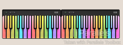 Pair used roli piano - of,