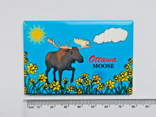Toronto Canada Moose Fridge