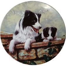Royal Worcester Plate Thats My
