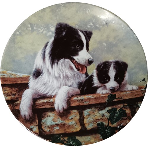 Royal worcester plate thats - royal,