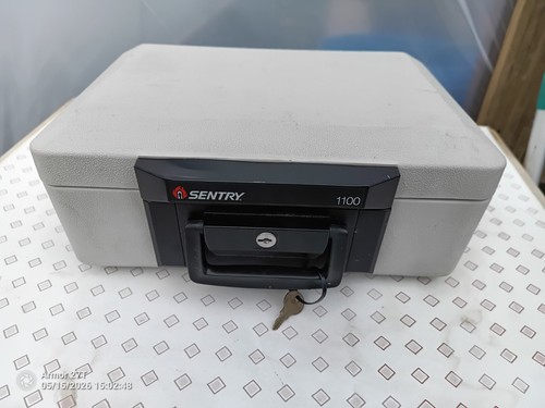 Sentry safe 1100 fire - safe,