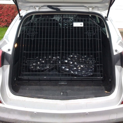 Sloping dog puppy training - sloping,