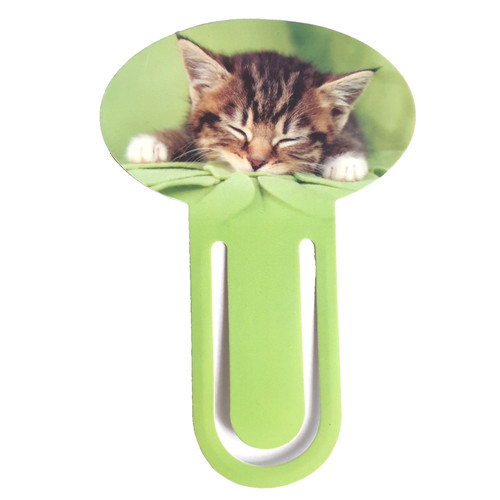 Sleeping tabby kitten - tabby,