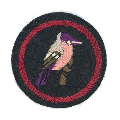 Early rare girl guides - early,