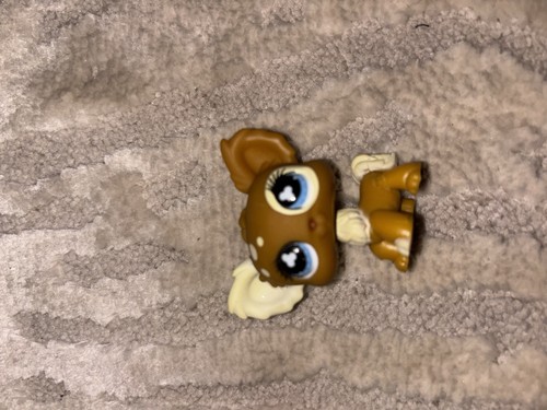 Littlest pet shop 528 - shop, /