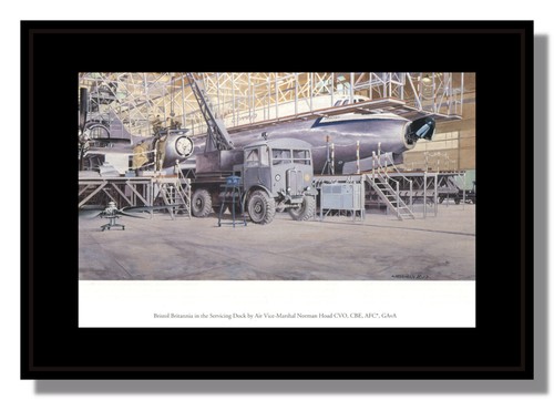 Bristol britannia raf - britannia,