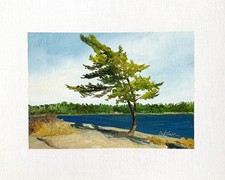 8x10 Ontario Original Oil