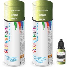 For Peugeot Spray Paint