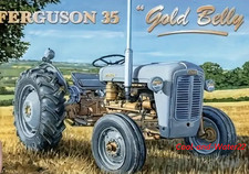 Ferguson 35 Gold Belly
