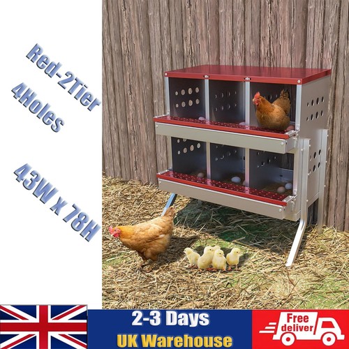 Room hen nest box - room,