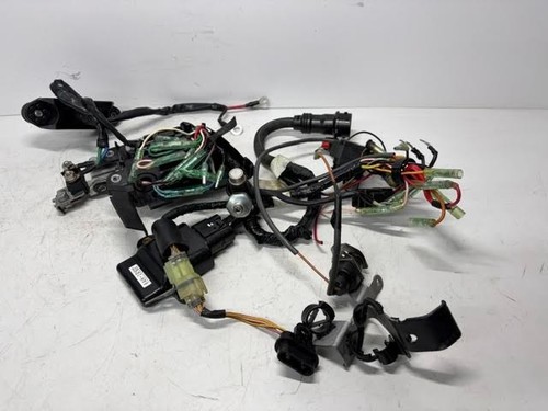 Yamaha engine loom - 20, hp