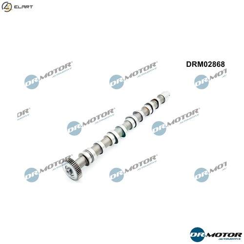 Camshaft drm02868 for skoda - drm02868,