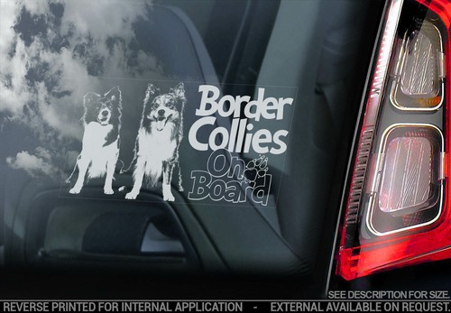Border collies car sticker - border,