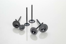 8400006-1 Discharge Valve