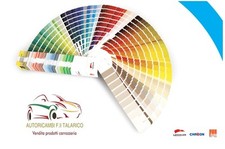 Paint Color Car Fiat 187 / B